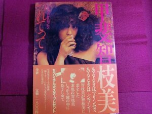 ■甲斐智枝美 写真集 つれてって 昭和57年/帯付き/ポスター付