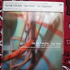 TM NETWORK/Get Wild