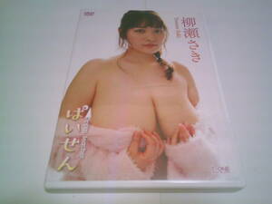 柳瀬さき DVD「ぱいせん」