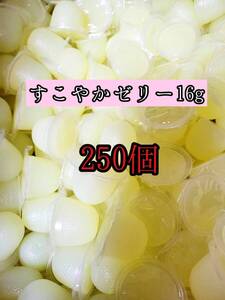 人気昆虫ゼリー KBファーム製昆虫ゼリー すこやかゼリー16g 250個カブトムシ クワガタ 小動物 モモンガ ハムスター ハリネズミ等