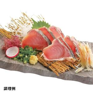 ★大好評！「香ばしい炙りキハダマグロタタキ(炙り)」約３kg（８～10本パック）もっちり食感！10kgまで送料一律でお届けします！