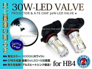 クラウン アスリート GRS18系 H17.10~H20.1 LEDバルブ HB4 30W