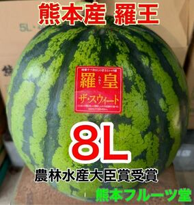 超特大！熊本産【羅皇】秀品8Lサイズ（1玉13〜14kg）熊本フルーツ堂55