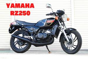 極上車　RZ250 超絶低走行 RZ350 4L3 希少車 当時物 大阪茨木市 現車確認OK ローンOK 最大84回 GT380 KH250 CBX GS XJ