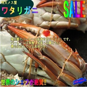 キロ売り「ワタリ蟹10尾前後で1kg」バーレーン産、台湾ガザミ　メスのみ