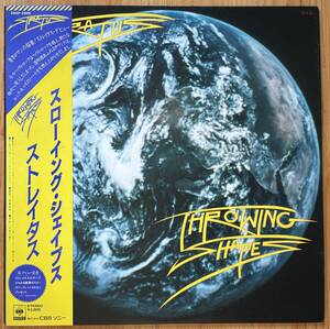 美盤 見本盤 Stratus / Throwing Shapes 帯付き LP レコード 28AP2946 