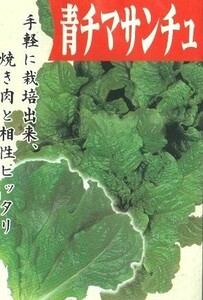 シャキシャキ レタス チマサンチュ 種子 【50粒以上】 