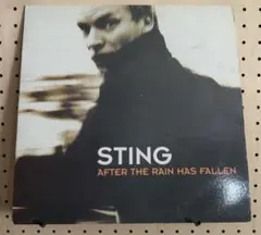 STING AFTER THE RAIN〜　映画レオン主題歌　12インチレコード