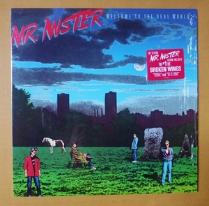 MR. MISTER「WELCOME TO THE REAL WORLD」米ORIG [半透明盤] ステッカー有シュリンク美品