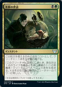 MTG ■金/日本語版■ 《害獣の世話/Tend the Pests》ストリクスヘイブン STX