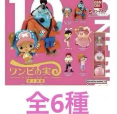 ワンピの実　第十海戦　第十弾　コンプ　コンプリートセット