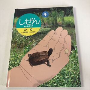 Y31-107 しぜん かめ4 キンダーブック フレーベル館 平成13年 第30集 2001年発行 長坂拓也 大方忠明 