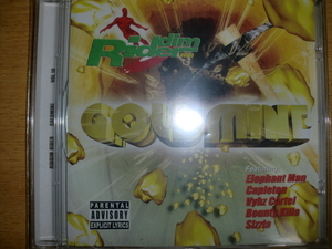 美品 Gold Mine Riddim [ワンウェイ] riddim rider Rhythm elephant man capleton vybz cartel bounty killa beenie man sizzla buju banto