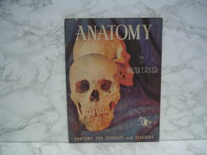 ∞　ANATOMY　WALTER T.FOSTER、著　◇洋書です、英文表記◇　●大型本です、送料注意●