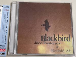 【CDほぼ新品】blackbird/jaco pastorius/rashid ali/ブラックバード/ジャコ・パストリアス【日本盤】