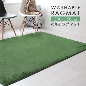 ラグ カーペット ラグマット Lサイズ 200x250cm 3畳 厚手 床暖房対応 低反発 絨毯 北欧 リビングマット 滑り止め 春 夏 秋 冬 グリーン