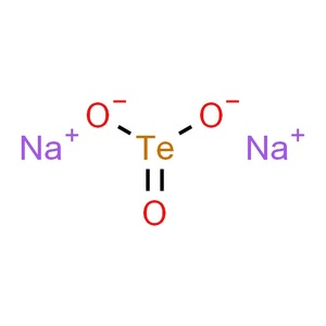 亜テルル酸ナトリウム水和物 99% 25g Na2TeO3・nH2O 無機化合物標本 試薬 試料