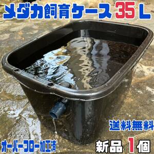 SALE★メダカ飼育ケース1個 黒35Lオーバーフロー加工済★ メダカ飼育容器金魚飼育めだか飼育ビオトープゾウリムシPSB台風豪雨対策にどうぞ