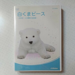 NHK エンタープライズ　ビクター　エンターテイメント　DVD 　白くまピース　日本初・人工哺育の全記録　快挙　動物　保育　美品　中古品　