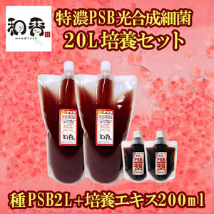 光合成細菌PSB20L培養セット バクテリア めだか らんちゅう 金魚 熱帯魚 グッピーに最適 ミジンコゾウリムシクロレラ培養