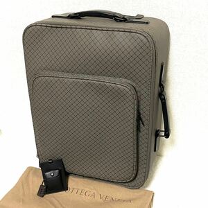 1円スタート！ 極美品 BOTTEGA VENETA ボッテガヴェネタ レザー キャリーケース スーツケース キャリーバッグ メンズ レディース グレー