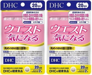 DHC ウエスト気になる 20日分40粒 2袋