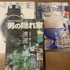 本日最終セール中男の隠れ家　おとなの週末　ナイルスナイル3冊天然の涼清流旅かき氷