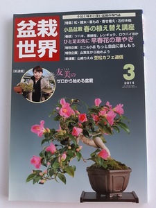 ★送料込【盆栽世界 2014年3月号】春の植え替え講座/ツバキ、寒緋桜、レンギョウ、ロウバイ★ミニ盆栽＆小品【エスメディア】