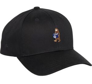 Tentree テンツリー キャップ リサイクル Sasquatch cap 10tree 帽子 hat 日本未発売 ブラック スケート サーフィン ボード 新品未使用