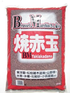 盆栽・蘭に　崩れにくい焼成粒　焼赤玉土　小粒　約10Ｌ（重さ約１１．５ｋｇ） 1311020　