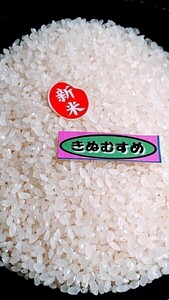 ～令和６年産～　きぬむすめ １等「検査済」精米 ２０kg　