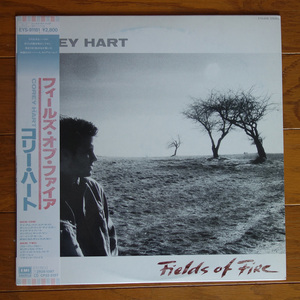 見本盤　コリー・ハート　フィールズ・オブ・ファイア　Corey Hart / Fields Of Fire　プロモ　白ラベル　美盤