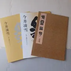 非売品  今井凌雪ー人と書のすべてー