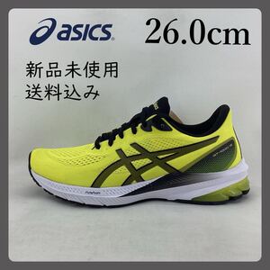 ASICS/GT-1000 12/26.0cm/1011B631-750