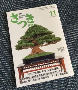 【送料無料】花と盆栽の専門誌 さつき研究 2023年11月号 3会に登録の見られる品種選/違和感の無い化粧ゴケの貼り方/サツキのある暮らし