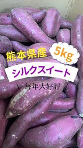 熊本特産　大好評！ 訳あり シルクスイート 5kg （送料無料）