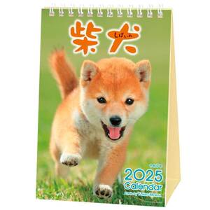 2025 Calendar 森田米雄 まるごと柴犬 卓上カレンダー2025年 スケジュール いぬ アクティブコーポレーション