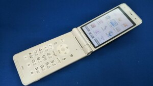 docomo FOMA P-01E ＃DG4436 Panasonic パナソニック ガラケー ケータイ 折畳式 簡易動作確認＆簡易清掃＆初期化OK 判定○ 送料無料　