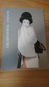 ★送料無料　坂東玉三郎さん　MOA美術館公演　パンフレット★