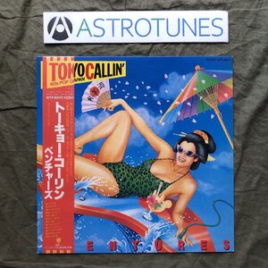 美盤 美ジャケ 美品 レア盤 1981年 国内盤 オリジナルリリース盤 ベンチャーズ Ventures LPレコード Tokyo Callin