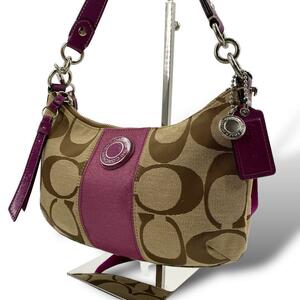 coach hobo accessory pouch shoulder bag