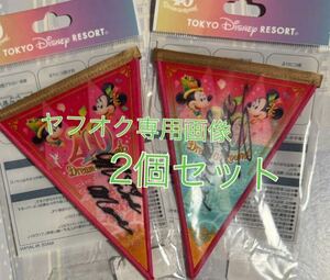 2個セット ディズニー ランド 40周年 ドリームガーランド ミッキー サイン ミニー サイン フラッグ チャーム バッジ