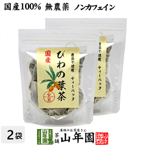 健康茶 国産100% びわ茶 びわの葉茶 ティーパック 1.5g×20パック×2袋セット 宮崎県産　鹿児島県産 無農薬 ノンカフェイン 送料無料