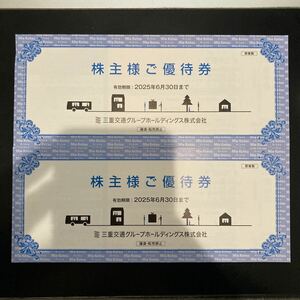 【送料無料】三重交通グループ 株主優待券 100株 ２冊セット 共通路線バス乗車券 hands ハンズ