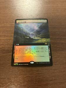 MTG モダンホライゾン3 拡張アート FOIL 樹木茂る山麓