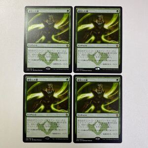 硬化した鱗　日本語　4枚セット　MTG タルキール覇王譚