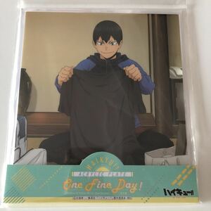 ハイキュー！！　アクリルプレート　影山飛雄　アクリルスタンド One Fine Day アニメイト