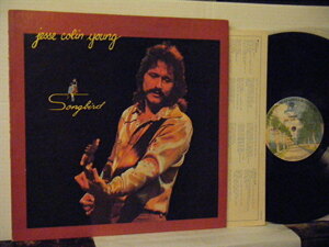 ▲LP JESSE COLIN YOUNG ジェシ・コリン・ヤング / SONGBIRD ソングバード 国内盤 ワーナー P-8570W SSW◇r40129