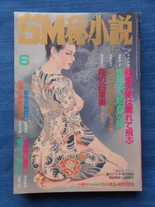 [04SM] SM秘小説 1990年6月号 平成2年 三和出版 A5判 | モデル：番匠愛 宮沢あや 藤谷菜美 千草忠夫 結城彩雨 笠間しろう 椋陽児 小妻容子