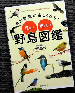 ★美品在庫1即納★見わけ 聞きわけ 野鳥図鑑｜ 野鳥観察 種類 見分け方 鳴き声 音声データ QRコードアクセス 生息地別 街中/里山/水辺/海#y